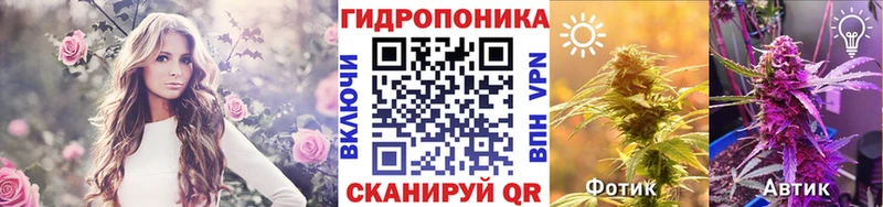 ОМГ ОМГ вход  Чекалин  Канабис OG Kush 